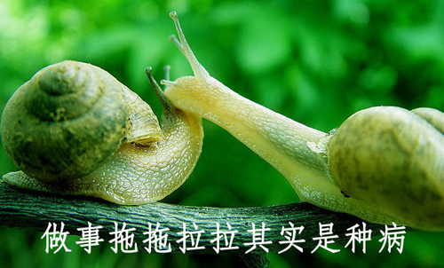 拒絕拖延從今天開始，明天會更好(圖4)